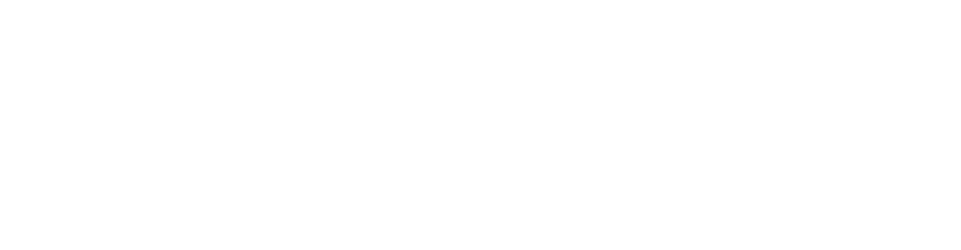 Project Logo
